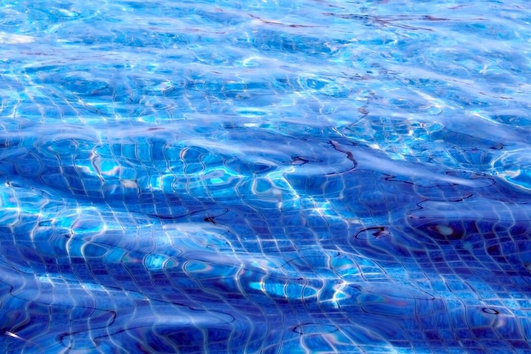 DIY vs Professional Algae Removal Image